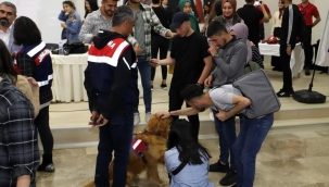 Jandarmadan üniversite öğrencilerine tanıtım faaliyeti