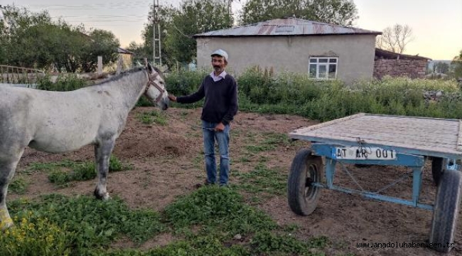 Atı ölümden dönmüştü, köpek sahibinin hediyesiyle sevince boğuldu