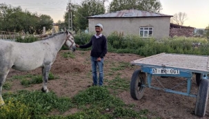 Atı ölümden dönmüştü, köpek sahibinin hediyesiyle sevince boğuldu