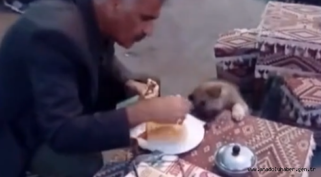Göle'den yürekleri ısıtan görüntü