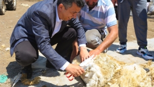 KAYMAKAM FATİH BAYRAM,