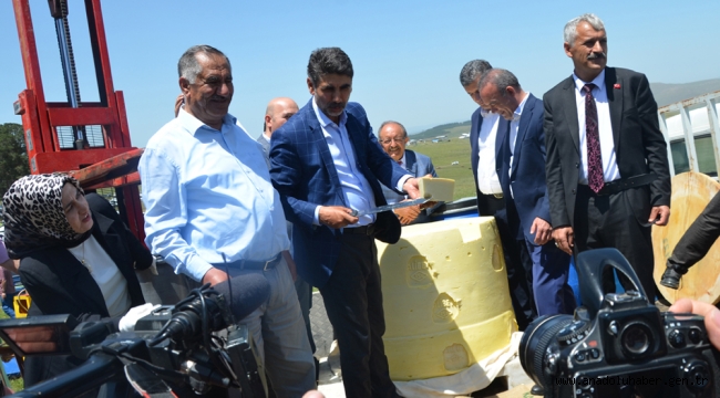 PEYNİR DİYARI GÖLE'DEN 1 TONLUK KAŞAR FESTİVALE DAMGA VURDU