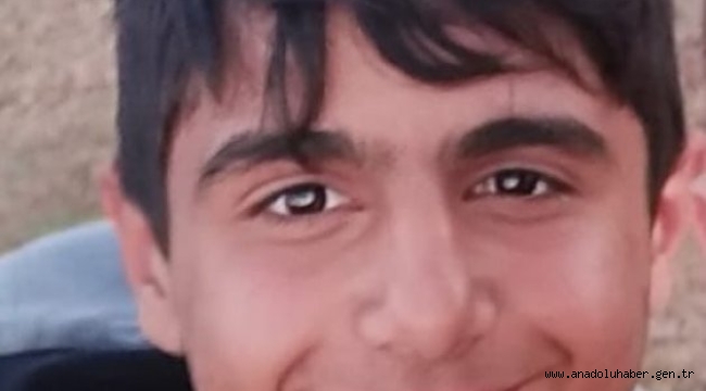 BOĞA KENDİSİNİ SUYA GÖTÜREN ÇOCUĞU ÖLDÜRDÜ