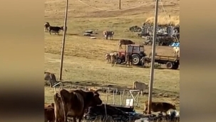 KARLIYAZI KÖYLÜLERİ, SU DERTLERİNİN ÇÖZÜLMESİNİ İSTİYOR