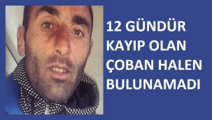 KAYIP ÇOBAN HALEN BULUNAMADI