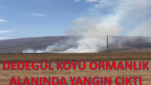 Ardahan'ın Dedegül köyü Ormanlık alanında yangın!
