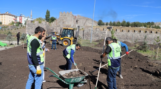 BAŞKAN DEMİR VE MECLİS ÜYELERİ KOLLARI SIVADI, PEYZAJ ÇALIŞMASI YAPTI