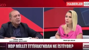 Gürsel Tekin HDP için ne dedi?