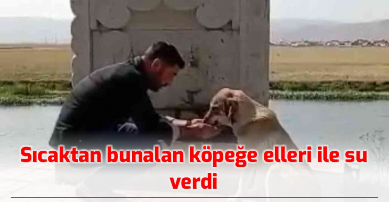 Sıcaktan bunalan köpeğe elleri ile su içirdi