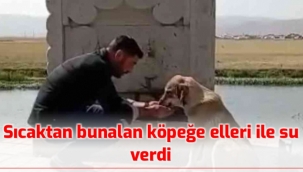 Sıcaktan bunalan köpeğe elleri ile su içirdi