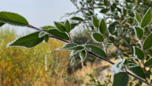 Ardahan dondu, her yer buz tuttu!