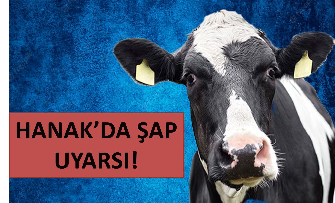 Hanak Belediyesi'nden Şap uyarısı yapıldı