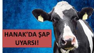 Hanak Belediyesi'nden Şap uyarısı yapıldı