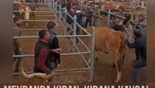 MEYDANDA KIRAN, KIRANA KAVGA!