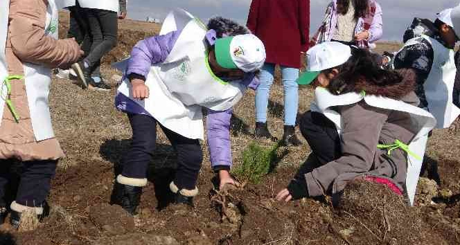 Ardahan'da binlerce fidan toprakla buluştu