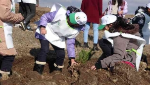 Ardahan'da binlerce fidan toprakla buluştu