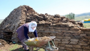 ARDAHAN TEZEĞİ RUS GAZINA MEYDAN OKUYOR!