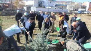 Çıldır'da fidan dikimi gerçekleştirildi