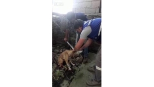 Elektrikçilerden anlamlı yardım eli