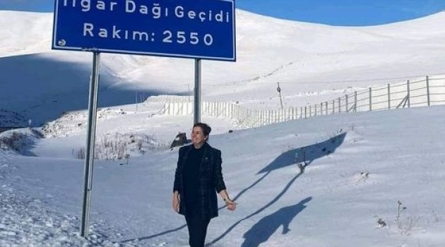 Milletvekiline Ulgar Karları Yol Vermedi!