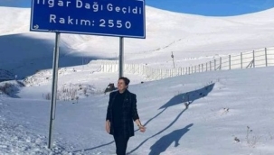 Milletvekiline Ulgar Karları Yol Vermedi!