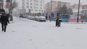 Ardahan'da kar yağışı başladı