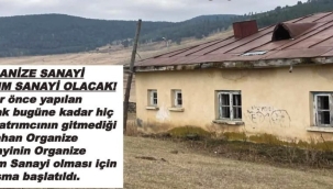 ORMANLAR YETMEDI, EVLERİNİ DE SATIYORLAR!