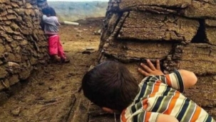 Tezek bulmak bile zorlaştı!