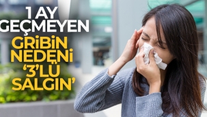 1 ay geçmeyen gribin nedeni '3'lü salgın'