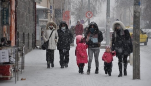 Ardahan'da Kar Yağışı Başladı