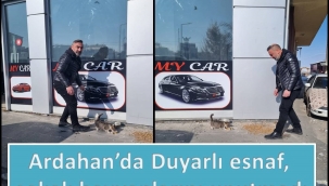 Duyarlı esnaf, sokak hayvanlarını unutmadı