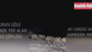 GÖLEDE AYI SÜRÜSÜ KAMERAYA YANSIDI