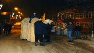 Posof'ta yeni yıl deve oyunuyla karşılandı