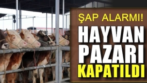 ARDAHAN'DA ŞAP ALARMI, PAZAR KAPATILDI