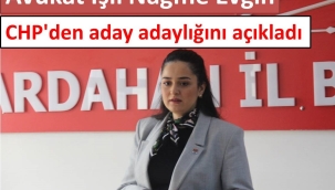 Avukat Işıl Nağme Evgin CHP'den aday adaylığını açıkladı