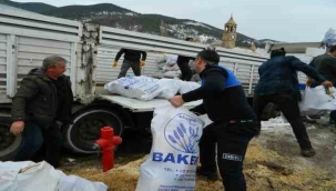 Posof'tan deprem bölgesine yardım