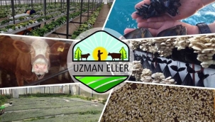 UZMAN ELLER PROJELERİ İÇİN BAŞVURULAR BAŞLADI