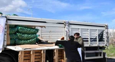 Çiftçilere kavılca buğdayı tohumu ve tohumluk patates dağıtıldı