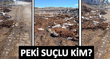 Suçlu Kim?