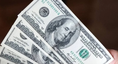 Dolar Tarihi Zirveyi Gördü