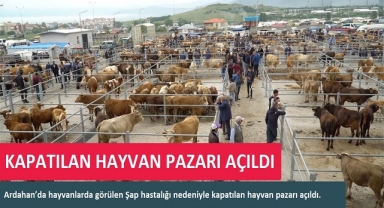 HAYVAN PAZARI AÇILDI