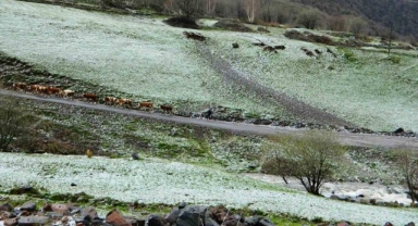 Posof'ta bir günde dört mevsim