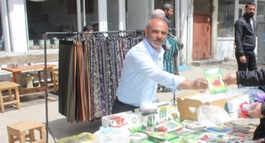 Tohum satışları yükselişte