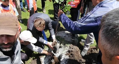 600 fidan toprakla buluştu