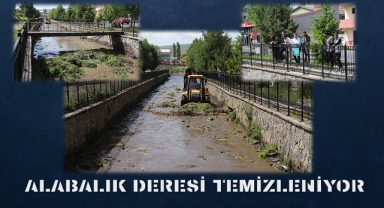 Alabalık Deresi temizleniyor