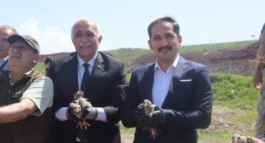 Çıldır'da kınalı keklikler doğaya bırakıldı
