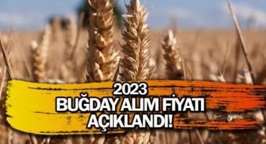 Ekmeklik buğday ve arpa alım fiyatı açıklandı