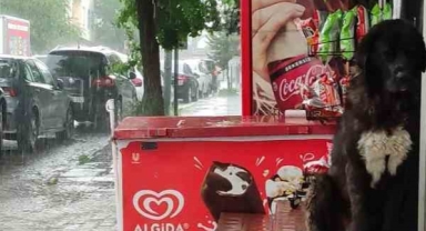 Sağanak, hayatı olumsuz etkiliyor