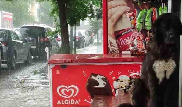 Sağanak, hayatı olumsuz etkiliyor