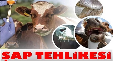 ŞAP HASTALIĞI YAYILIYOR!